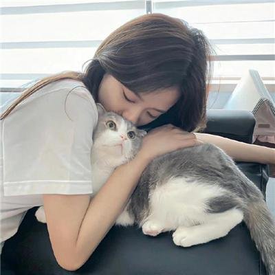 不完美的正义 在线观看封面